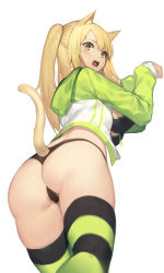 Rule 34 | 1girl, absurdres, animal ears, ass, black panties, blonde hair, breasts, cameltoe, cat ears, cat tail, from behind, from below, front-tie top, green eyes, highres, hood, hooded jacket, hoodie, jacket, jam (nandade), korean commentary, large breasts, long hair, one side up, open clothes, open jacket, open mouth, original, panties, paw pose, sidelocks, simple background, solo, striped clothes, striped thighhighs, tail, thighhighs, underboob, underwear, white background