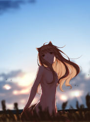 Rule 34 | 1girl, animal ears, ayakura juu, backlighting, breasts, brown hair, cloud, commentary request, completely nude, cowboy shot, dawn, expressionless, holo, horizon, long hair, looking at viewer, nude, official art, red eyes, sky, small breasts, solo, spice and wolf, sunlight, tail, wheat, wolf ears, wolf girl, wolf tail