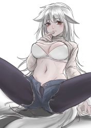 Rule 34 | 1girl, animal ears, black pantyhose, blush, bra, breasts, character request, chinese commentary, cleavage, commentary request, copyright request, cutoffs, denim, denim shorts, dog ears, dog tail, grey sweater, groin, hand up, highres, large breasts, pantyhose under shorts, long hair, long sleeves, looking at viewer, meno nuo, midriff, navel, open fly, pantyhose, red eyes, short shorts, shorts, silver hair, simple background, sitting, solo, spread legs, stomach, sweater, tail, thighs, underwear, white background, white bra