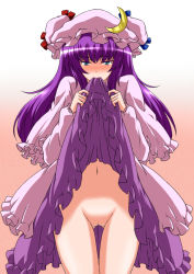 Rule 34 | 1girl, blue eyes, blush, cleft of venus, clothes in mouth, clothes lift, crescent, dress, dress in mouth, dress lift, female focus, frills, hat, long hair, looking at viewer, mouth hold, no panties, nose blush, patchouli knowledge, purple eyes, purple hair, pussy, ribbon, shouji nigou, solo, tears, thigh gap, thighs, touhou, uncensored