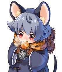 Rule 34 | 1girl, alternate costume, animal ears, animal print, blue coat, breath, coat, commentary request, eating, foil, food, food on face, frilled sleeves, frills, gloves, grey hair, hair between eyes, highres, layered clothes, long sleeves, looking at object, mouse ears, mouse tail, nazrin, red eyes, roasted sweet potato, scarf, short hair, string, sweet potato, tail, take no ko (4919400), tiger print, tiger stripes, touhou, upper body, white background, wide sleeves