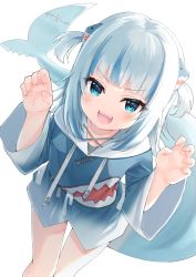 Rule 34 | 1girl, :d, blue eyes, blue hair, blue hoodie, claw pose, commentary request, drawstring, fins, fish tail, gawr gura, gawr gura (1st costume), hair ornament, hands up, highres, hololive, hololive english, hood, hood down, hoodie, leaning forward, looking at viewer, multicolored hair, open mouth, shark tail, sharp teeth, silver hair, simple background, smile, solo, standing, streaked hair, tail, teeth, tsukiman, two side up, v-shaped eyebrows, virtual youtuber, white background
