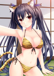 Rule 34 | 1girl, animal ears, animal print, armpits, bare shoulders, bikini, black hair, breasts, cat, cat ears, cat girl, cat tail, choujigen game neptune, cleavage, commentary request, cowboy shot, front-tie top, kitty, kmcgold30, long hair, medium breasts, midriff, navel, neck, neptune (series), noire (neptunia), red eyes, ribbon, selfie, side-tie bikini bottom, smile, solo, swimsuit, tail, tatami, thighs, tiger, tiger ears, tiger girl, tiger print, tiger tail, tsundere, twintails