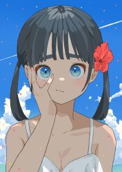 Rule 34 | 1girl, :/, absurdres, black hair, blue eyes, blue sky, breasts, cleavage, cloud, commentary, english commentary, flower, hair flower, hair ornament, hand on own cheek, hand on own face, hand up, highres, looking at viewer, mashiro ka, medium hair, original, outdoors, red flower, sky, small breasts, solo, star (symbol), symbol in eye, twintails