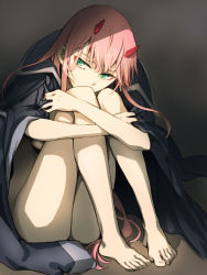 Rule 34 | 10s, 1girl, aqua eyes, barefoot, blue jacket, breasts, covering own mouth, darling in the franxx, expressionless, feet, full body, hair between eyes, herozu (xxhrd), horns, hugging own legs, jacket, jacket on shoulders, knees to chest, knees together feet apart, knees up, legs, long hair, looking at viewer, medium breasts, naked jacket, nude, pink hair, simple background, sitting, solo, tagme, toes, very long hair, zero two (darling in the franxx)