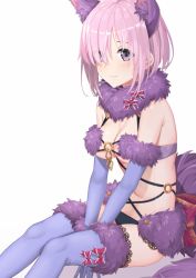 Rule 34 | 1girl, animal ears, bare shoulders, between legs, blush, breasts, cleavage, closed mouth, detached collar, elbow gloves, fate/grand order, fate (series), fur-trimmed gloves, fur-trimmed legwear, fur collar, fur trim, gloves, hand between legs, highres, lace, lace-trimmed legwear, lace trim, looking at viewer, mash kyrielight, mash kyrielight (dangerous beast), medium breasts, o-ring, official alternate costume, pink hair, purple eyes, purple gloves, purple thighhighs, revealing clothes, short hair, shuutou haruka, simple background, sitting, solo, tail, tareme, thighhighs, white background, wolf ears, wolf tail