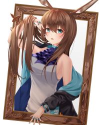 Rule 34 | 1girl, absurdres, amiya (arknights), animal ears, arknights, arm up, ascot, bare shoulders, black jacket, blue ascot, blue eyes, blush, breasts, brown hair, commentary, grey shirt, haedalmyo, hair between eyes, hand in own hair, highres, jacket, jewelry, long hair, long sleeves, looking at viewer, medium breasts, off shoulder, open clothes, open jacket, open mouth, outside border, picture frame, rabbit ears, ring, shirt, simple background, sleeveless, sleeveless shirt, solo, through medium, through painting, upper body, white background