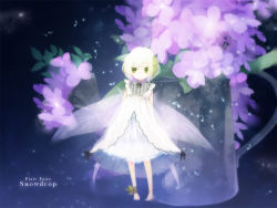 Rule 34 | dress, fairy wings, flower, green eyes, original, solo, white hair, wings, yuukichi