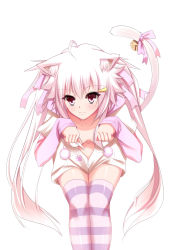 Rule 34 | 1girl, animal ears, bad id, bad pixiv id, bell, bent over, cat ears, cat tail, highres, long hair, original, paw pose, pink eyes, pink hair, simple background, smile, solo, striped clothes, striped thighhighs, tail, tail bell, tail ornament, thighhighs, white background, yappen, yatsu (sasuraino)
