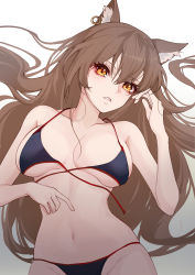 Rule 34 | 1girl, absurdres, animal ear fluff, animal ears, arknights, bare arms, bare shoulders, bikini, black bikini, breasts, brown hair, cat ears, commentary, danxing aipangzi, earrings, gradient background, grey background, groin, hair between eyes, highres, jewelry, large breasts, long hair, looking at viewer, navel, parted lips, skyfire (arknights), solo, stomach, swimsuit, upper body, very long hair, white background, yellow eyes