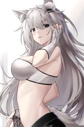 Rule 34 | 1girl, absurdres, animal ear fluff, animal ears, arknights, bandeau, bare shoulders, blush, breasts, commentary, fang, fingerless gloves, gloves, grey eyes, hair ornament, hairclip, hand up, highres, lappland (arknights), large breasts, long hair, looking at viewer, midriff, parted lips, revision, scar, scar across eye, scar on face, silver hair, smile, solo, strapless, tail, tube top, upper body, v-shaped eyebrows, very long hair, white gloves, wolf ears, wolf tail, yan lie