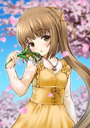 Rule 34 | 1girl, blue sky, blurry, blurry background, blush, breasts, brown eyes, brown hair, cherry blossoms, cross-laced clothes, day, dress, flower, hair ribbon, idolmaster, idolmaster cinderella girls, jewelry, kaishinshi, long hair, long sleeves, looking at viewer, necklace, open mouth, parted lips, petals, ponytail, ribbon, sky, small breasts, solo, tree, very long hair, yellow dress, yellow ribbon, yorita yoshino