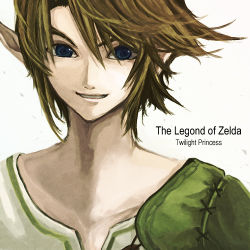 Rule 34 | 1boy, aikashouryou, blue eyes, brown hair, grin, link, lowres, male focus, nintendo, pointy ears, smile, solo, the legend of zelda, typo