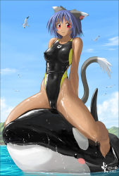 Rule 34 | 00s, 2002, animal ears, arena (company), blush, cameltoe, cleft of venus, competition swimsuit, dated, dolphin, nipples, nyanko batake, one-piece swimsuit, orca, smile, swimsuit, tail, whale