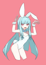 Rule 34 | 1girl, animal ears, blue bow, blue bowtie, blue hair, blunt bangs, blunt ends, bow, bowtie, cropped legs, detached collar, fake animal ears, fake tail, glaring, hair bow, hairband, hands up, highres, kotonoha aoi, leaning forward, leotard, light blush, long hair, looking at viewer, low-tied sidelocks, multiple hair bows, open mouth, pink background, rabbit ears, rabbit pose, rabbit tail, red eyes, simple background, solo, strapless, strapless leotard, tail, voiceroid, white hairband, white leotard, wrist cuffs, yonhuyonkai