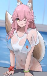 Rule 34 | 1girl, absurdres, animal ear fluff, animal ears, bikini, blue bikini, breasts, closed mouth, collarbone, covered navel, fate/grand order, fate (series), fox ears, fox print, fox tail, highres, indoors, large breasts, long hair, looking at viewer, navel, one eye closed, pink hair, purasu haven, see-through, shirt, solo, swimsuit, t-shirt, tail, tamamo (fate), tamamo no mae (fate/extra), tamamo no mae (swimsuit lancer) (fate), tamamo no mae (swimsuit lancer) (second ascension) (fate), tongue, wet, wet clothes, wet shirt, yellow eyes