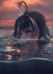 Rule 34 | 1girl, absurdres, afloat, ahoge, animal ears, black hair, blowhole, cloud, cloudy sky, commentary, dusk, english commentary, facial mark, from side, highres, indie virtual youtuber, looking to the side, multicolored hair, ocean, orange sky, orca girl, outdoors, partially submerged, partially underwater shot, peeking out, portrait, purple eyes, reflection, reflective water, shylily, sky, solo, streaked hair, taku artworks, two-tone hair, virtual youtuber, water, watermark, white hair
