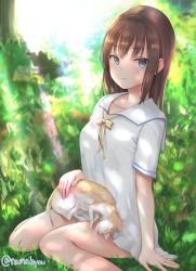 Rule 34 | 1girl, animal, bad id, bad pixiv id, blue eyes, blush, bow, breasts, brown hair, cat, commentary request, dappled sunlight, dress, goldowl, highres, long hair, looking at viewer, on grass, original, parted lips, sailor collar, sailor dress, short sleeves, sitting, small breasts, solo, sunlight, twitter username, wariza, white dress, white sailor collar, yellow bow