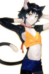 Rule 34 | 1girl, alternate costume, animal ears, armpits, arms behind back, arms up, bare shoulders, black hair, blue shorts, body fur, camisole, cat ears, cat girl, cat tail, choker, cowboy shot, dungeon meshi, flat chest, frown, hands in hair, highres, izutsumi, looking at viewer, multicolored fur, navel, red ribbon, ribbon, ribbon choker, short hair, shorts, simple background, sleeveless, spaghetti strap, tail, toned, wawa (wawawa0080), white background, yellow eyes