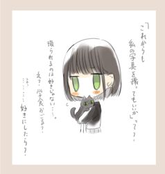 Rule 34 | 1girl, animal, black cat, black hair, black jacket, blazer, blunt bangs, blunt ends, blush, blush stickers, bob cut, border, bow, bowtie, cat, chibi, collared shirt, colored sclera, commentary request, ear ornament, earrings, flying sweatdrops, furrowed brow, green eyes, grey skirt, highres, holding, holding animal, holding cat, jacket, jewelry, jitome, long sleeves, looking at viewer, no mouth, no nose, open clothes, open jacket, original, pink border, pleated skirt, red bow, red bowtie, shirt, simple background, single sidelock, skirt, solid oval eyes, stud earrings, translation request, upper body, whiskers, white background, yellow sclera, yukimaru nun