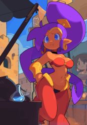 Rule 34 | 2girls, absurdres, bacun, bare shoulders, blue eyes, breasts, closed mouth, dark-skinned female, dark skin, day, hand on own hip, highres, hoop, large breasts, long hair, multiple girls, outdoors, pointy ears, ponytail, pout, purple hair, see-through, shantae, shantae (series)