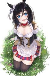 Rule 34 | 1girl, 9 no seicho nikki, absurdres, animal ears, belt, black thighhighs, blue eyes, breasts, center opening, cleavage, commentary, dirndl, ear ornament, eishin flash (umamusume), forehead, frilled skirt, frills, front-tie top, german clothes, grass, hair between eyes, highres, horse ears, horse girl, horse tail, looking at viewer, lower teeth only, medium hair, o-ring, open mouth, pouch, seiza, sitting, skirt, solo, tail, teeth, thighhighs, umamusume