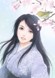 Rule 34 | 1girl, bird, black eyes, black hair, branch, cherry blossoms, flower, highres, japanese clothes, kimono, long hair, parted lips, satochi (1122), solo, traditional clothes
