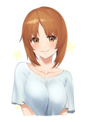 Rule 34 | 1girl, absurdres, breasts, brown eyes, brown hair, closed mouth, collarbone, commentary request, cropped torso, girls und panzer, highres, hukahito, large breasts, looking at viewer, nishizumi miho, parted bangs, shirt, short hair, short sleeves, simple background, smile, solo, upper body, white background, white shirt