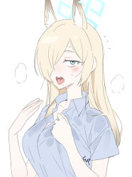 Rule 34 | 1girl, animal ears, blonde hair, blue archive, blue eyes, blue shirt, breasts, collarbone, collared shirt, commentary request, dog ears, extra ears, fanning self, fpanda, halo, heavy breathing, highres, hot, kanna (blue archive), long bangs, looking at viewer, medium breasts, partially unbuttoned, ringed eyes, sharp teeth, shirt, sketch, solo, sweat, swept bangs, tareme, teeth, tongue, tongue out, upper body