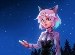 Rule 34 | 147, 1girl, animal ears, cat ears, green eyes, long sleeves, military, military uniform, necktie, night, night sky, open mouth, pine tree, sanya v. litvyak, short hair, silver hair, sky, solo, strike witches, tree, uniform, world witches series