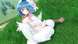 Rule 34 | 1girl, artist request, bird legs, bird tail, blue hair, blush, cow, feathers, flower, game cg, hair between eyes, hair flower, hair ornament, hairband, harpy, lea (monster musume), looking at viewer, midriff, monster girl, monster musume no iru nichijou, monster musume no iru nichijou online, official art, outdoors, panties, pink panties, short hair, short tail, sitting, solo, tail, underwear, wariza, white feathers, white flower, white wings, wide hips, winged arms, wings, yellow eyes