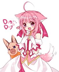 Rule 34 | 10s, 1girl, ahoge, animal ears, bad id, bad pixiv id, bow, dog, dog days, dog ears, dog girl, dog tail, dress, gloves, hair bow, heart, millhiore f. biscotti, open mouth, pink hair, purple eyes, ribbon, solo, tail, wasabi (sekai)