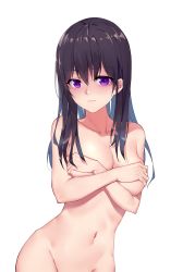 Rule 34 | 1girl, aihara mei, black hair, blue hair, blush, breasts, citrus (saburouta), cleavage, closed mouth, collarbone, covering privates, covering breasts, cowboy shot, groin, highres, lips, long hair, medium breasts, navel, nude, out-of-frame censoring, purple eyes, shiny skin, simple background, solo, standing, stomach, straight hair, upper body, white background, wujia xiaozi