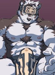 Rule 34 | 1boy, abs, ainu clothes, animal ears, bara, beckoning, bulge, chest hair, come hither, cum, cum in clothes, erection, erection under clothes, feet out of frame, furry, furry male, grey fur, grey hair, headband, highres, horkeu kamui, large pectorals, male focus, muscular, muscular male, nipples, outstretched hand, pectorals, pelvic curtain, precum, presenting, reaching, reaching towards viewer, seductive smile, shirako (kirupi), short hair, smile, solo, spread legs, stomach, tail, thick thighs, thighs, tokyo houkago summoners, topless male, two-tone fur, white fur, wolf boy, wolf ears, wolf tail, yellow eyes