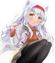 Rule 34 | 1girl, anbutter siruko, animal ears, black pantyhose, blush, cat ears, coat, feet out of frame, headband, kantai collection, long hair, long sleeves, open clothes, open coat, orange sweater, pantyhose, parted lips, red headband, shoukaku (kancolle), simple background, solo, sweater, white background, white coat, white hair, yellow eyes