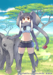 Rule 34 | 1girl, african elephant (kemono friends), akitsu taira, animal, animal ears, apple, arm at side, belt, brown eyes, company name, copyright notice, crop top, cutoffs, day, elbow gloves, elephant, elephant ears, elephant tail, extra ears, feet out of frame, food, fruit, gloves, grey hair, hand on another&#039;s head, kemono friends, kemono friends 3, kemono friends 3: planet tours, kneehighs, midriff, multicolored hair, navel, necktie, official art, open mouth, outdoors, petting, scarf, shorts, smile, socks, stomach, tail, two-tone hair, watermark, white hair