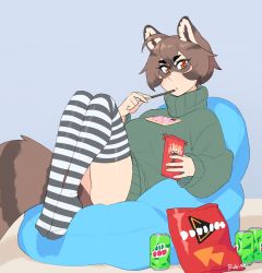 Rule 34 | 1girl, absurdres, ahoge, animal ear fluff, animal ears, artist name, bean bag chair, breasts, brown hair, can, cellphone, commentary, doritos, english commentary, food, full body, green sweater, highres, large breasts, long sleeves, looking at viewer, mountain dew, no shoes, orange eyes, original, parted lips, phone, pocky, puffy long sleeves, puffy sleeves, raccoon ears, raccoon girl, raccoon tail, rob ishi, short hair, smartphone, solo, striped clothes, striped thighhighs, sweater, tail, thighhighs, turtleneck, turtleneck sweater