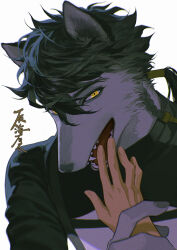 Rule 34 | 1boy, animal ears, black hair, body fur, braid, chinese text, disembodied hand, fangs, furry, furry male, grey fur, hand grab, hand up, kinsatsu (grizzled), long sleeves, looking at viewer, low ponytail, open mouth, original, short hair with long locks, simple background, upper body, white background, wolf boy, wolf ears, yellow eyes