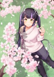 Rule 34 | 1girl, :t, absurdres, alternate costume, black hair, black pantyhose, black skirt, black tank top, blunt bangs, blush, breasts, closed mouth, commentary request, dango, demon girl, demon horns, demon tail, eating, feet out of frame, flower, food, grass, hanami, highres, holding, holding food, horns, kojo anna, long hair, long sleeves, medium breasts, multicolored hair, nanashi inc., on ground, pantyhose, pink flower, pink sweater, pointy ears, purple hair, robou no stone, sanshoku dango, single bare shoulder, sitting, skirt, smile, solo, sweater, tail, tank top, twintails, two-tone hair, virtual youtuber, wagashi, yellow eyes