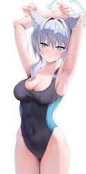 Rule 34 | 1girl, absurdres, animal ear fluff, animal ears, armpits, arms up, bare shoulders, blue archive, blue eyes, blue one-piece swimsuit, blush, breasts, cleavage, collarbone, covered navel, cross hair ornament, extra ears, grey hair, hair ornament, halo, highleg, highleg swimsuit, highres, looking at viewer, medium breasts, medium hair, multicolored clothes, multicolored swimsuit, one-piece swimsuit, parted lips, rable, shiroko (blue archive), shiroko (swimsuit) (blue archive), short ponytail, sidelocks, solo, swimsuit, thighs, wet, wolf ears