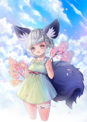Rule 34 | 1girl, animal ear fluff, animal ears, blade &amp; soul, brown eyes, cherry blossoms, cloud, day, dress, food, food on face, fork, highres, holding, bridal garter, lyn (blade &amp; soul), open mouth, outdoors, petals, primcoco, short dress, short hair, silver hair, sky, sleeveless, sleeveless dress, smile, solo, sundress, tail, tree, white dress, wolf ears, wolf tail