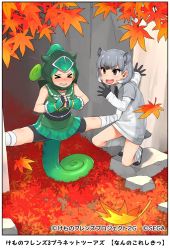 Rule 34 | &gt; &lt;, 2girls, animal ears, autumn leaves, bandaged leg, bandages, bike shorts, black eyes, black hair, blush, border, bracer, chameleon tail, clenched teeth, closed eyes, collared shirt, company name, copyright notice, curly hair, day, detached hood, dress, extra ears, fingerless gloves, forehead protector, full body, gloves, green hair, grey hair, hair through headwear, happa (cloverppd), high ponytail, hood, hood up, kemono friends, layered sleeves, lizard tail, long hair, long sleeves, looking at another, multicolored hair, multiple girls, neck ribbon, nose blush, official art, outdoors, own hands together, panther chameleon (kemono friends), ribbon, rock hyrax (kemono friends), shirt, shoes, short-sleeved sweater, short hair, short over long sleeves, short sleeves, shorts, shorts under skirt, skirt, sleeveless, sleeveless shirt, smile, socks, spread legs, squatting, struggling, sweater, sweater dress, tail, teeth, undershirt, v-shaped eyebrows, white hair, wide spread legs, wing collar