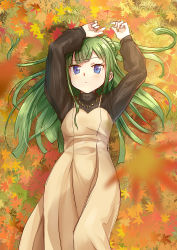 Rule 34 | 1girl, arms up, autumn leaves, black shirt, blue eyes, blush, brown dress, closed mouth, commentary request, double bun, dress, green hair, hair bun, highres, leaf, long hair, long sleeves, looking at viewer, lying, maple leaf, okiru, on back, on grass, pretty series, pripara, puffy long sleeves, puffy sleeves, ribbed shirt, shirt, sleeveless, sleeveless dress, solo, tsukikawa chili, two side up, very long hair
