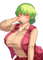 Rule 34 | 1girl, beige shirt, blush, breasts, closed mouth, collarbone, eyebrows hidden by hair, green hair, hair between eyes, hand up, kazami yuuka, large breasts, long sleeves, open clothes, open vest, plaid, plaid skirt, plaid vest, red eyes, sadahiro (chicken nugget gyuuniku aji), short hair, simple background, skirt, smile, solo, touhou, unbuttoned, upper body, vest, white background