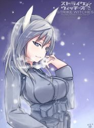 Rule 34 | 1girl, a5g7a5d8, animal ears, aurora e. juutilainen, breasts, copyright name, gradient background, grey eyes, highres, large breasts, long hair, paw print, silver hair, smile, snowing, solo, strike witches, strike witches: aurora no majo, uniform, world witches series