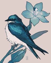 Rule 34 | animal, animal focus, artist name, beak, bird, blue bird, blue eyes, blue feathers, blue flower, feathers, flower, from side, full body, grey background, highres, leaf, no humans, original, profile, shuini xiaomao, signature, simple background, solo, swallow (bird), talons, white feathers