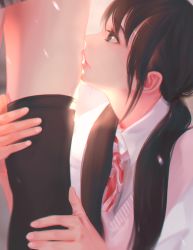 Rule 34 | 2girls, black eyes, black hair, black legwear, brown hair, collared shirt, fingernails, highres, kissing thigh, leg hold, litra (ltr0312), long twintails, ltr0312, multiple girls, neck ribbon, original, out of frame, parted lips, photo-referenced, pink lips, profile, red ribbon, ribbon, shirt, solo focus, striped ribbon, thighhighs pull, twintails, white shirt, wing collar, yuri
