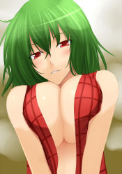 Rule 34 | 1girl, akitsuki karasu, bare shoulders, blush, breasts squeezed together, breasts, cleavage, green hair, kazami yuuka, large breasts, no bra, open clothes, open vest, plaid, plaid vest, red eyes, seductive smile, smile, solo, touhou, vest