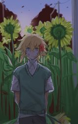 Rule 34 | 1boy, absurdres, arms behind back, bad id, bad twitter id, bandaid, bandaid on face, basil (faraway) (omori), basil (omori), blonde hair, blue eyes, closed mouth, collared shirt, expressionless, flower, green sweater vest, hair flower, hair ornament, highres, holding, holding flower, looking at viewer, omori, shirt, short hair, short sleeves, solo, sunflower, sweater vest, wed (lim38869577), white shirt