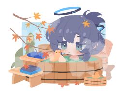Rule 34 | 1girl, bamboo, bath, bathing, blue archive, blue background, blue eyes, blue hair, blush, border, branch, bucket, closed mouth, commentary request, hair between eyes, hair bun, hair ornament, halo, hands up, highres, holding, leaf, leaf on head, maple leaf, outside border, partially submerged, rubber duck, shirota (petapeta84), sidelocks, simple background, single hair bun, smile, solo, steam, stool, towel, washbowl, water, white border, wooden bathtub, wooden bucket, wooden stool, yuuka (blue archive)
